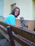 Drozd Drozd